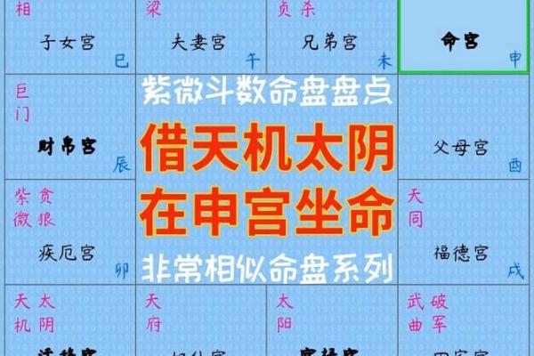 紫薇斗数贵子