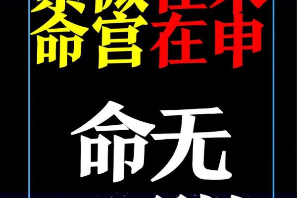 许世英紫薇斗数命盘