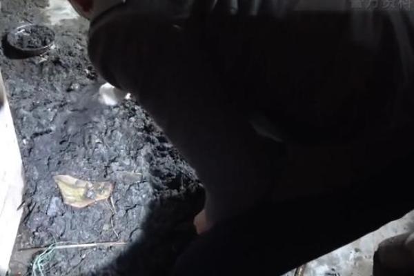 算命先生死他乡