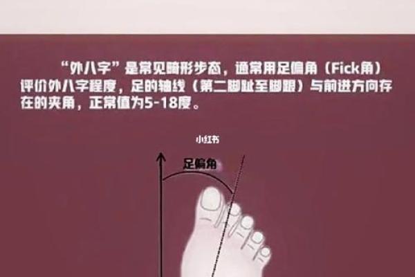 外八字图片