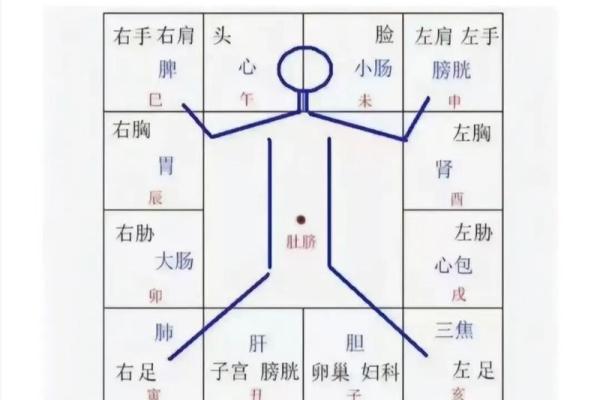 跟着AI学紫薇斗数，十二宫介绍