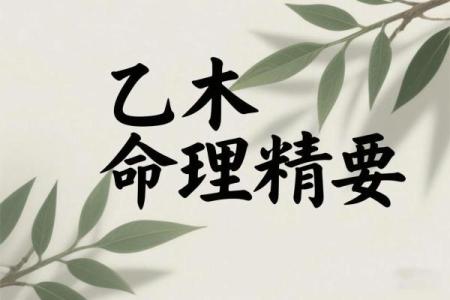 软弱的八字