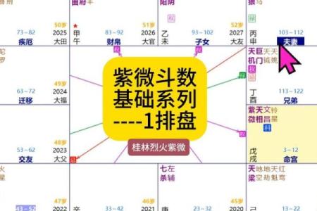紫薇斗数真假