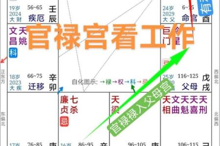紫薇斗数看合伙