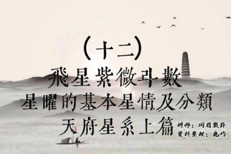 紫薇斗数星曜天空