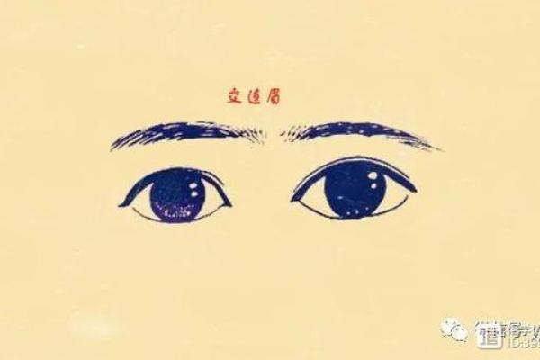 女孩八字眉好吗,女人八字眉是什么命