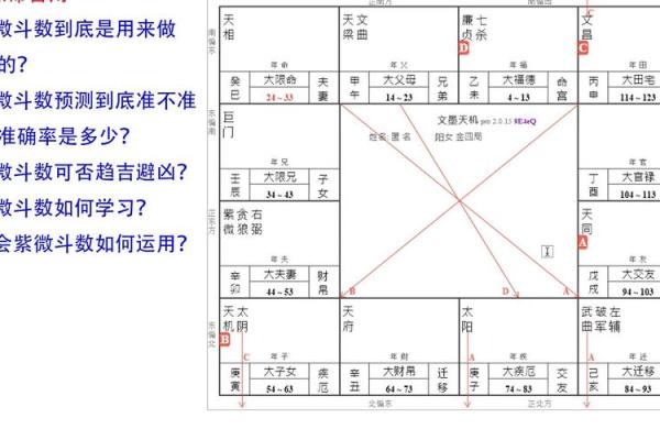 皇家紫薇斗数