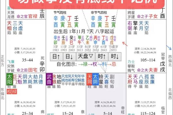 揭秘 紫微斗数VS八字：命理学中隐藏的惊人差异？