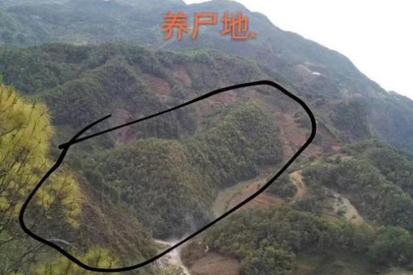 地上地下房子的风水