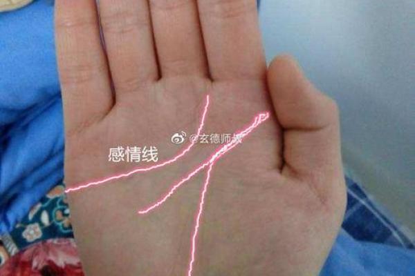 八字算命手相占卜