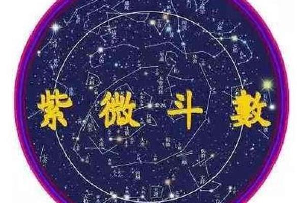 紫薇斗数太阳长相