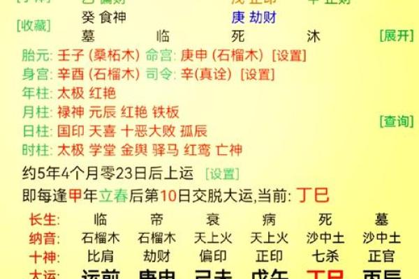八字排盘算命软件下载