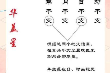 紫微斗数诸星落命宫之：华盖星详解