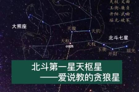 紫微斗数十四主星：贪狼星概论