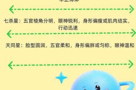 abc科技紫薇斗数