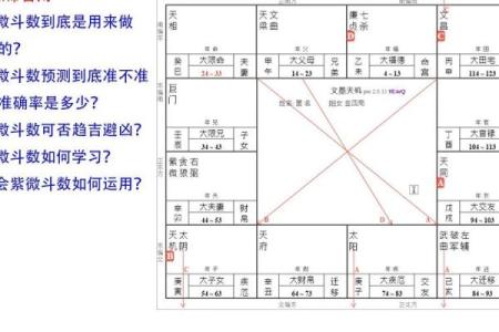 皇家紫薇斗数