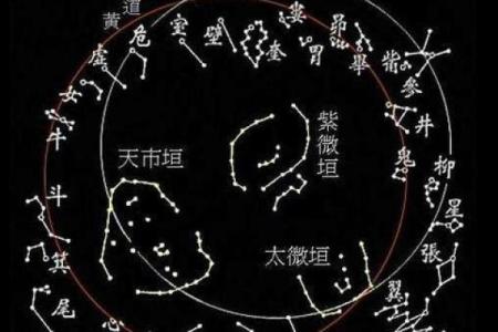 排紫薇斗数星盘