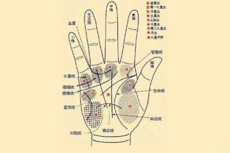 八字算命手相占卜