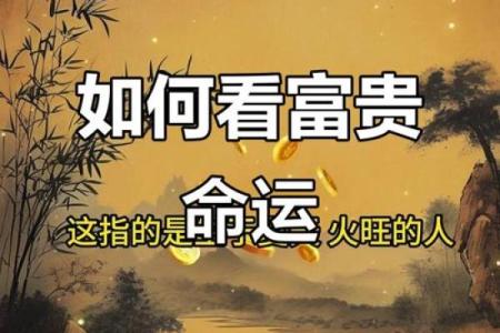 富人八字