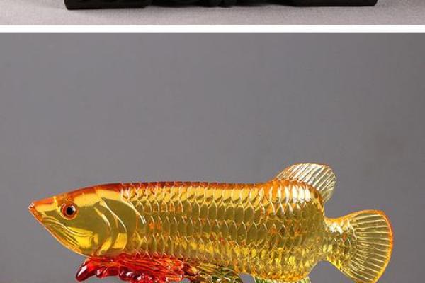 招财风水解析：纳财金龙摆件