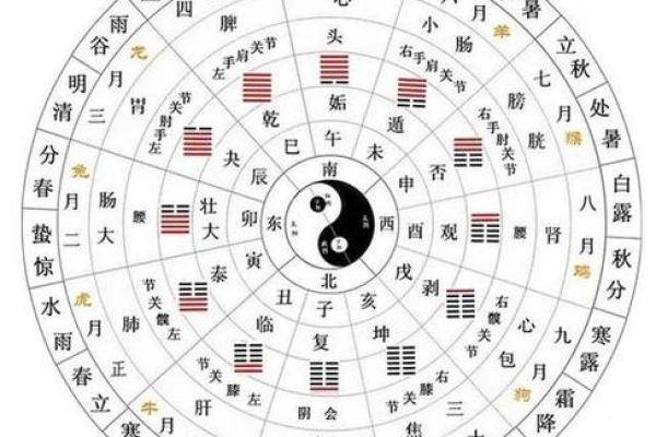 八字排盘-详解命运大趋势