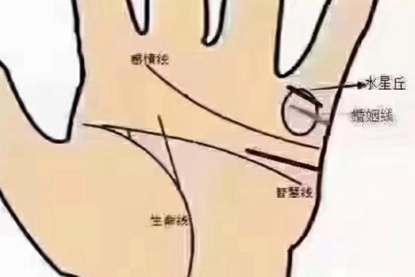 手线算命