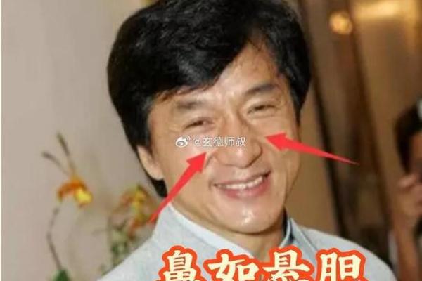 相面算命看见鼻孔好吗