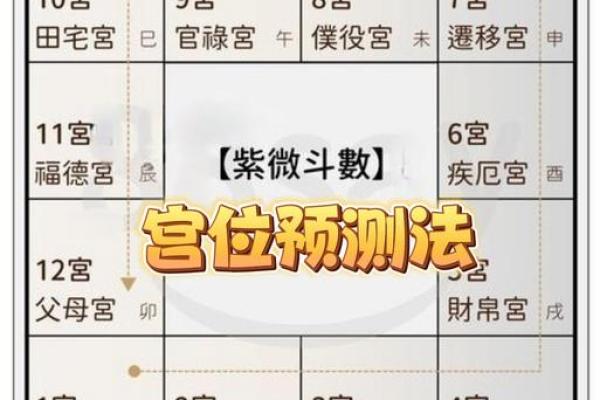 紫微斗数之：看命程序