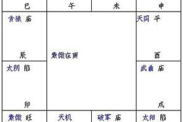 猪猪紫微斗数 紫微斗数在线排盘免费解析？