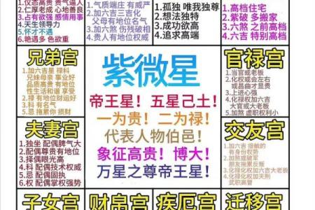 紫薇斗数解释意思