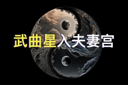 紫微斗数之夫妻宫与诸星,武曲星在夫妻宫是什么意思？