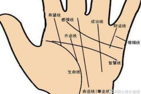 男人九种手相算命图解