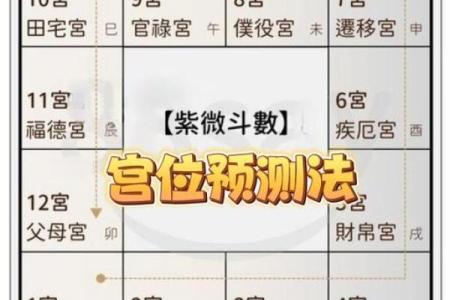 紫微斗数之：看命程序