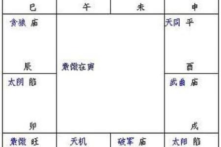 猪猪紫微斗数 紫微斗数在线排盘免费解析？