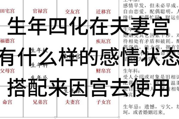 紫微斗数夫妻宫在亥无主星 加桃花主配偶有艺术才能