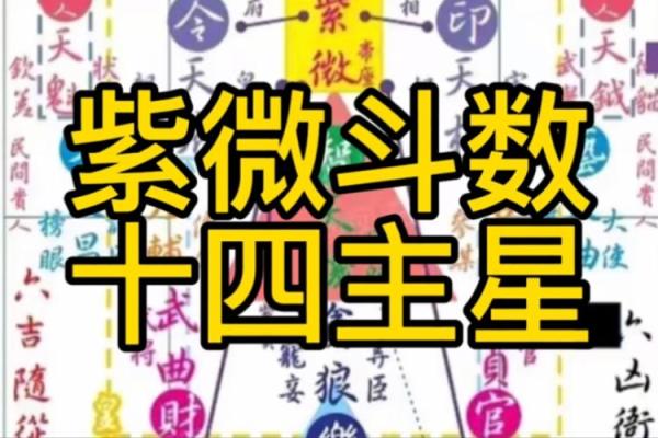 十二生肖紫薇斗数