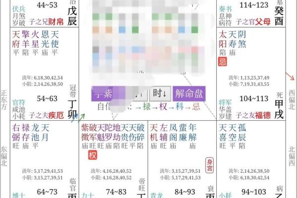 紫薇斗数不入格