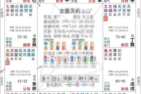 紫薇斗数网站在线排盘
