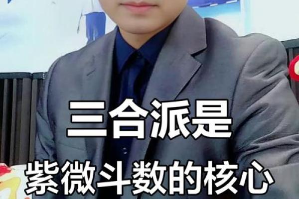 紫微斗数三合 紫微斗数三合派？