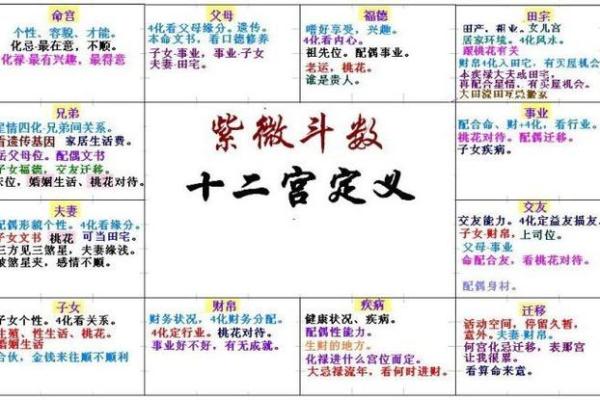 紫薇斗数看情商