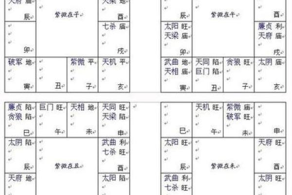 测紫薇斗数app