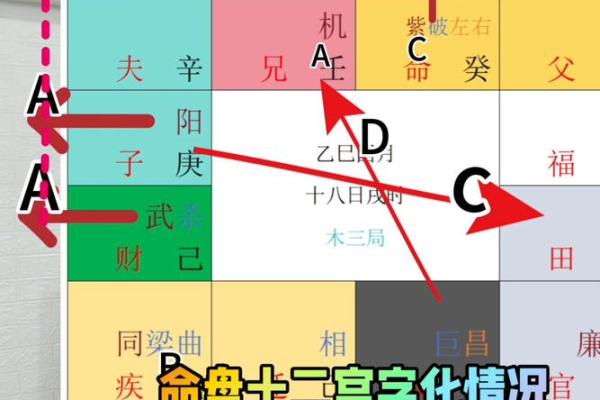 紫薇斗数排盘可靠吗