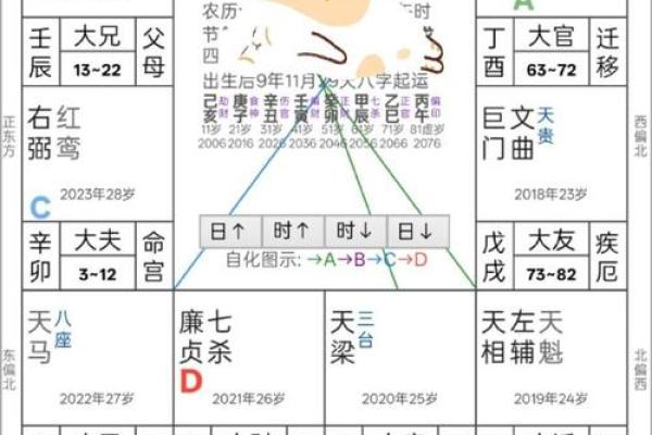 紫薇斗数排盘化易网