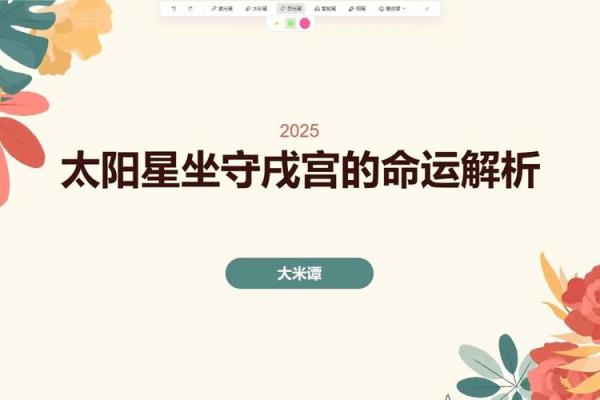 紫薇斗数的太阳是什么意思