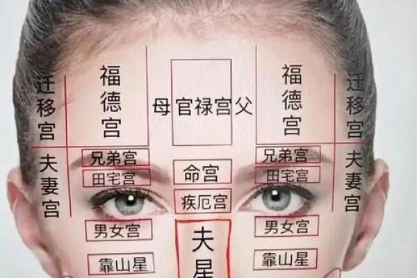 脸上胎记算命看出命运