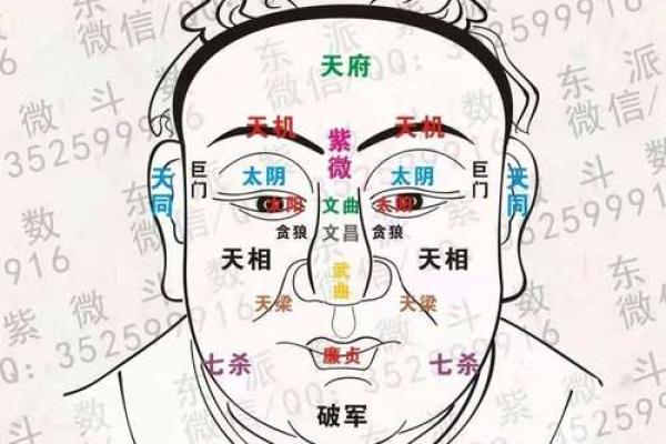 紫薇斗数看命运好坏