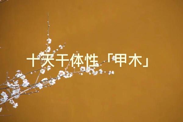 甲木八字