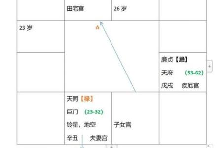 图解紫薇斗数禄忌