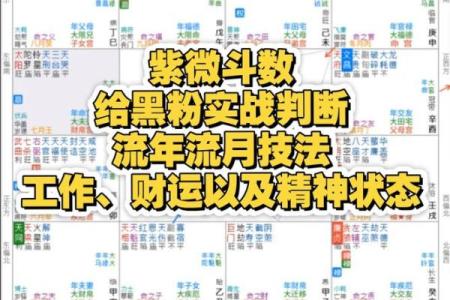十二生肖紫薇斗数