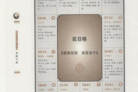 紫薇斗数权马